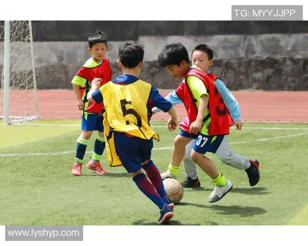 探索体育精神的力量：如何通过体育塑造身心健康与社会责任感