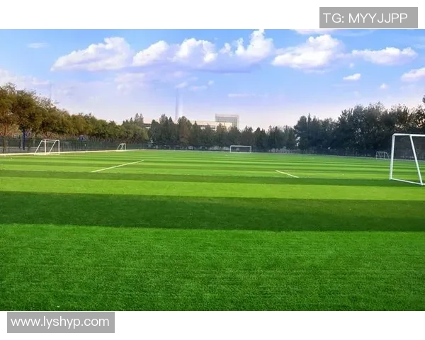 湘超足球推动区域竞技生态全面升级新篇章探索未来发展路径蓝图篇